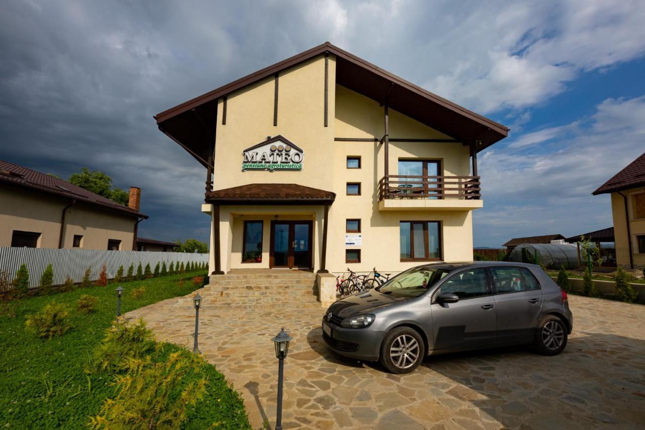 Pensiunea Mateo Hotel Buzau Bagian luar foto